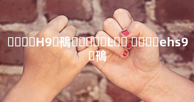 ����H9�鳵���Ӽ�Ŀ�� ����ehs9�鳵